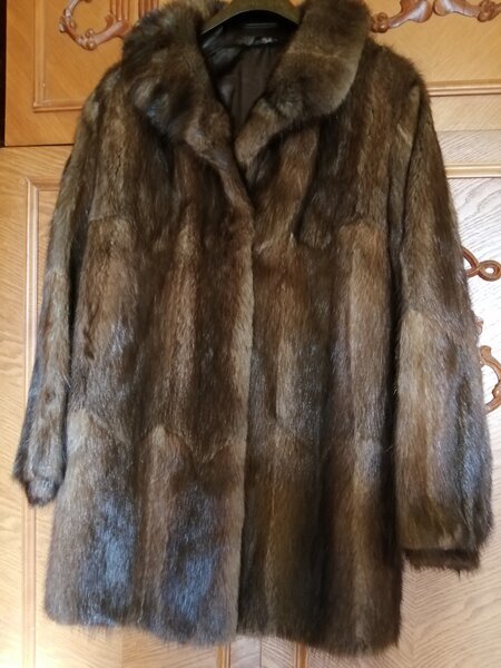 Vand haina de blana naturala, bizam, de culoare maro