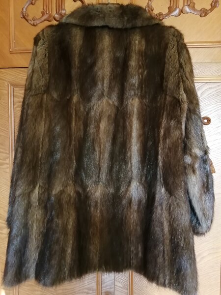 Vand haina de blana naturala, bizam, de culoare maro
