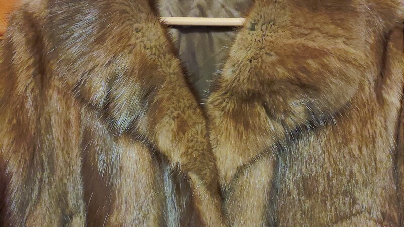 Vand haina de blana naturala, bizam, de culoare maro