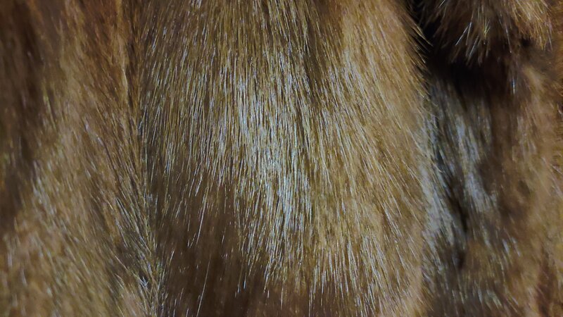 Vand haina de blana naturala, bizam, de culoare maro