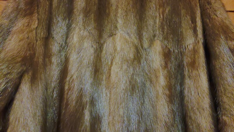 Vand haina de blana naturala, bizam, de culoare maro